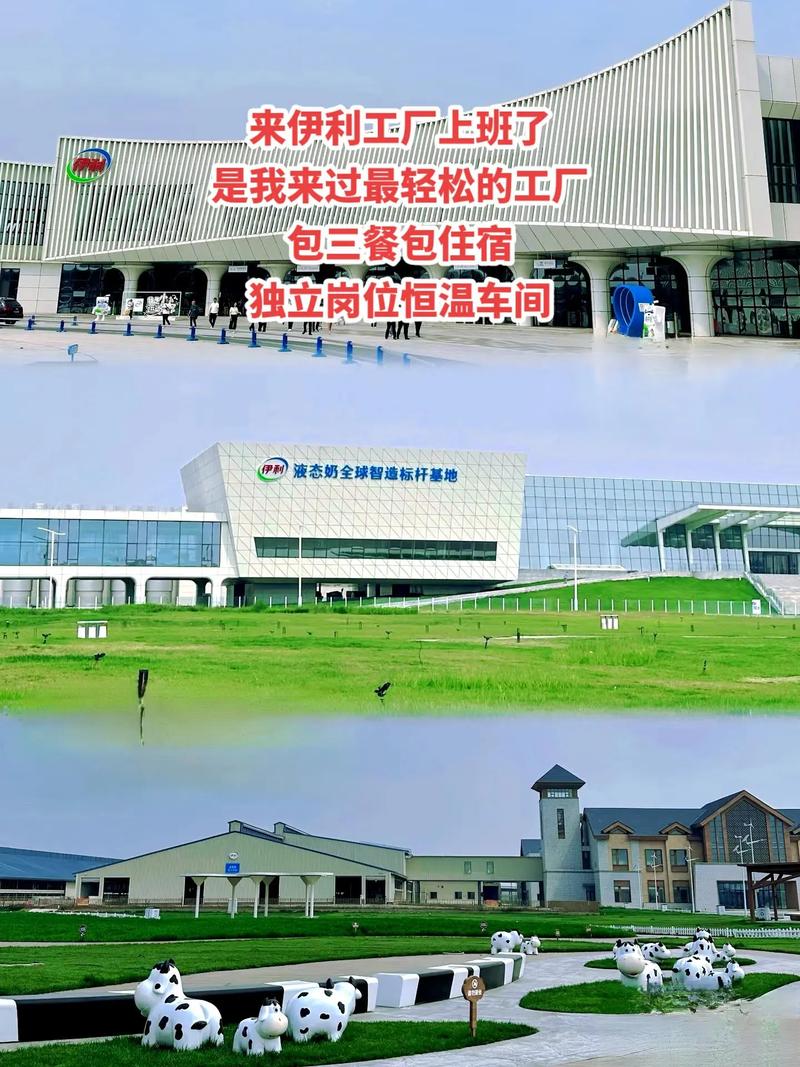 来伊利工厂上班了是我来过最轻松的工厂包三餐包住宿独立岗